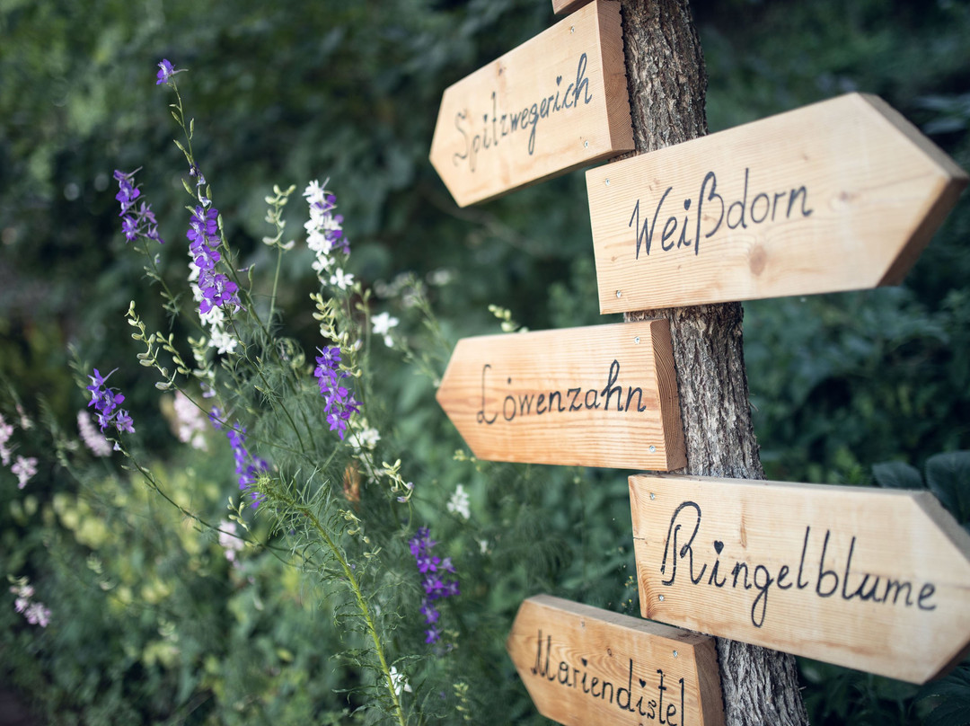 Wild Herbs Garden Haimburger景点图片