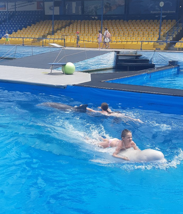 Sevastopol Dolphinarium in Artillery Bay-塞瓦斯托波尔必去景点
