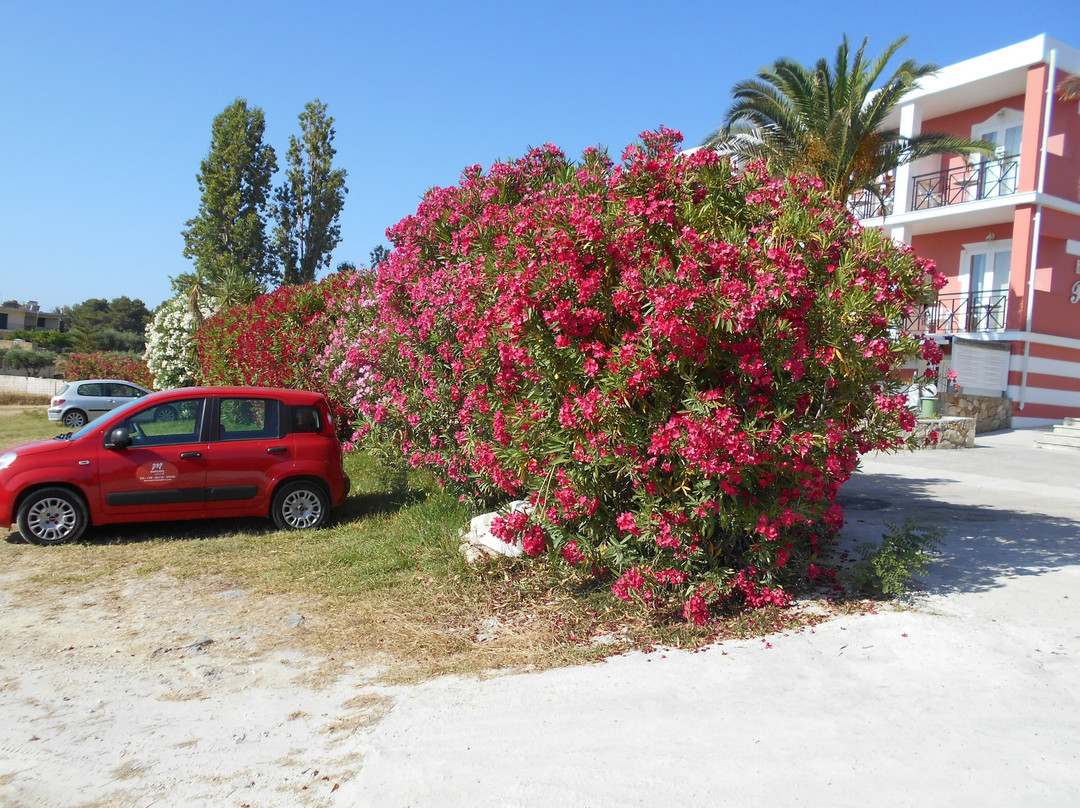 Hotel Palatino主图