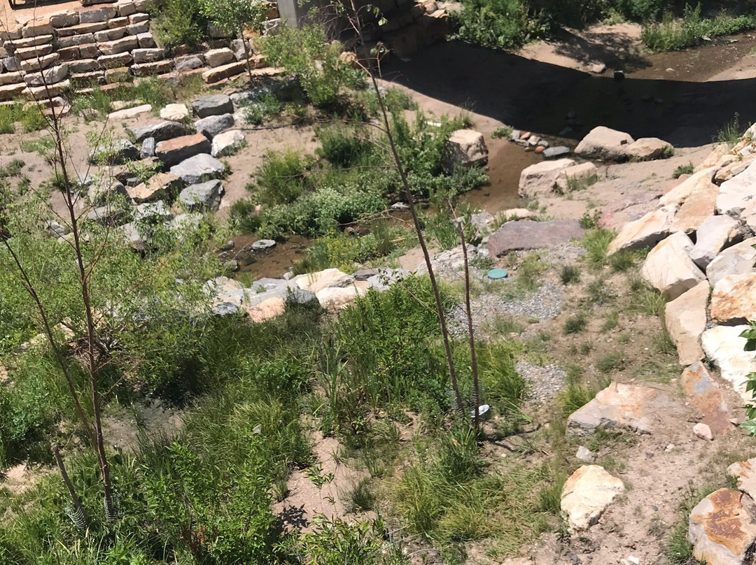 Festival Park-罗克堡必去景点