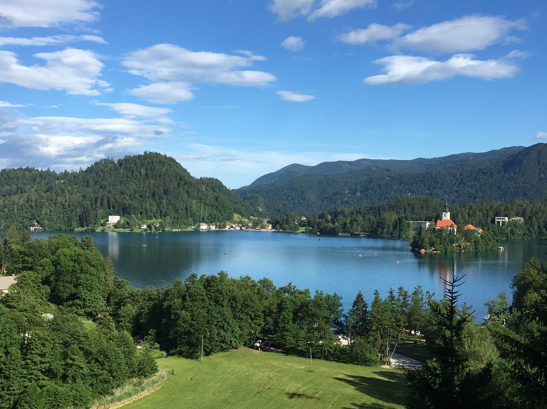 Hotel Triglav Bled主图