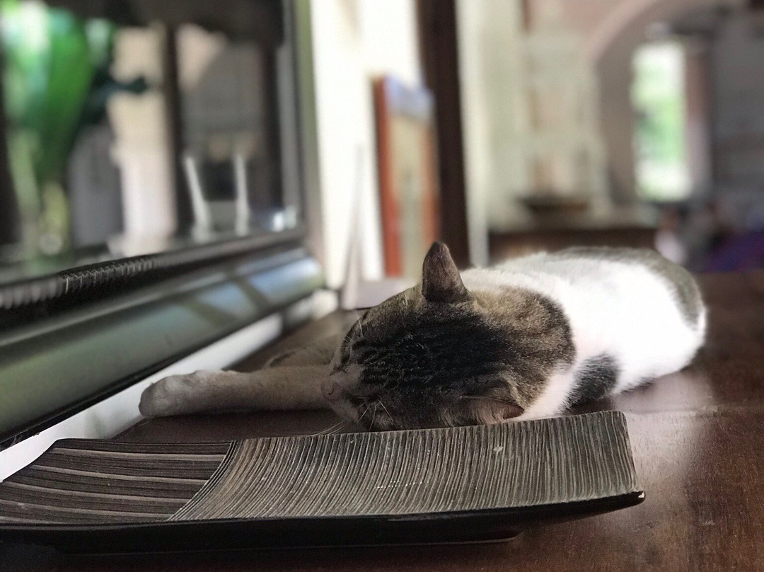 Portal de la Marquesa主图