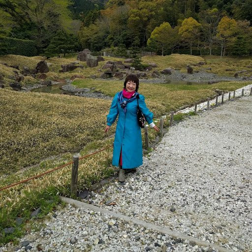 Kyu Kaneishi Castle Garden景点图片