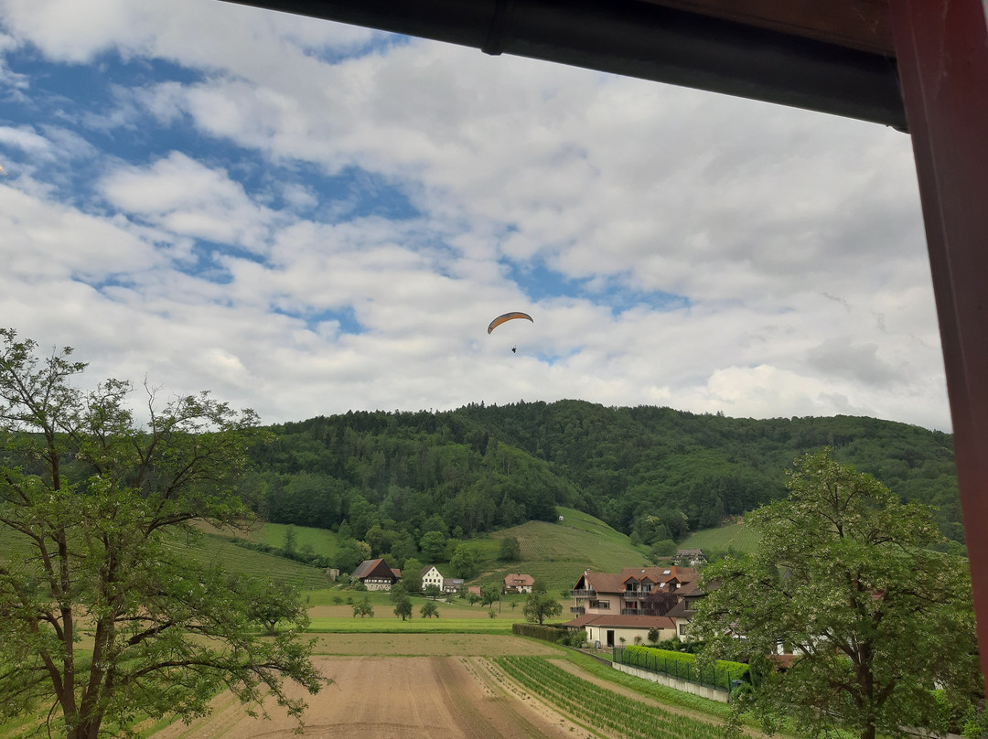 Hotel Schwarzenberg主图