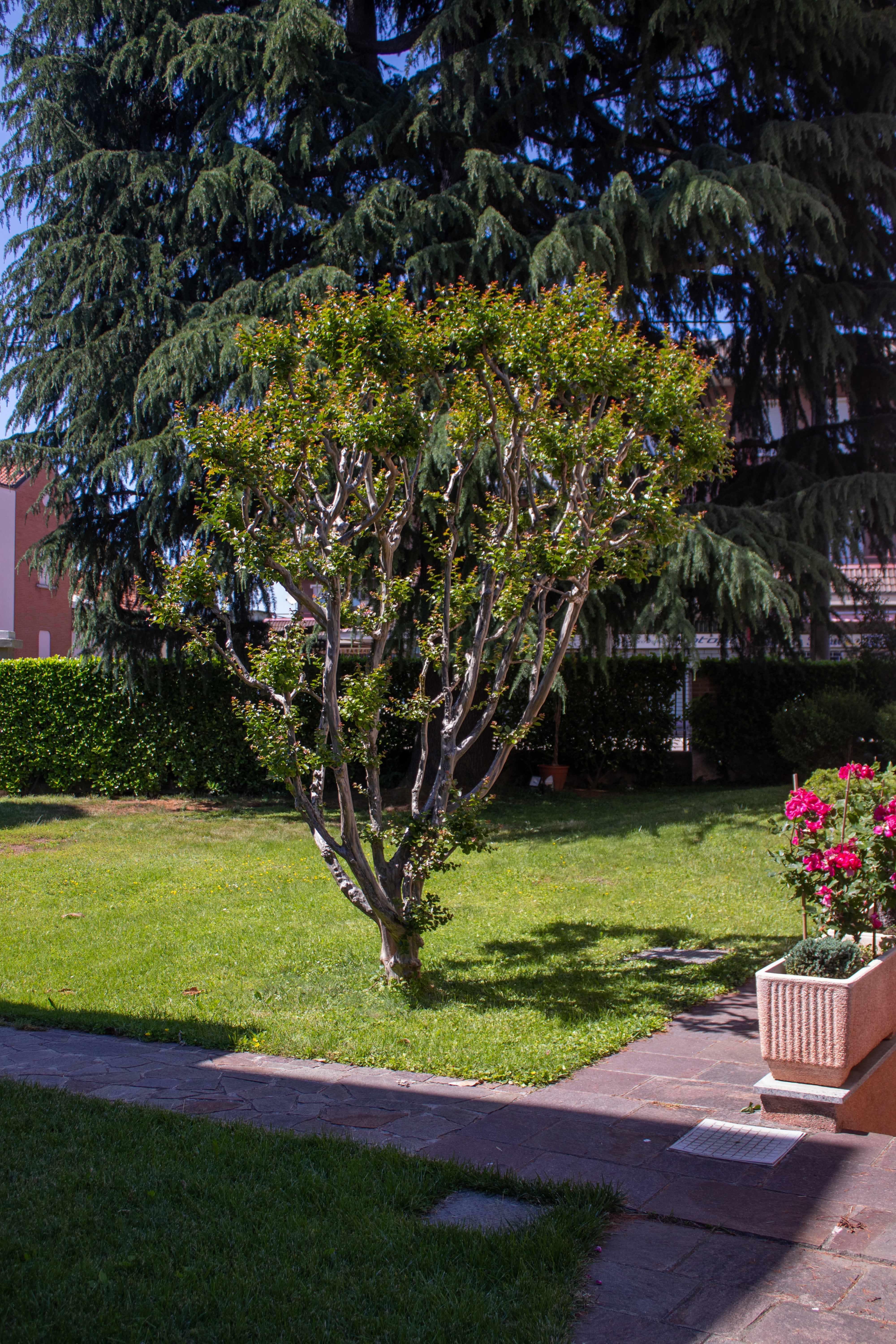 B&B Villa Le Rondini-portrait