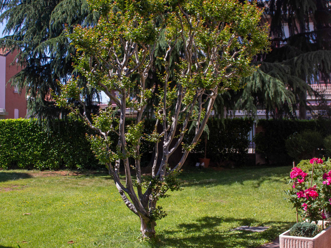 B&B Villa Le Rondini主图