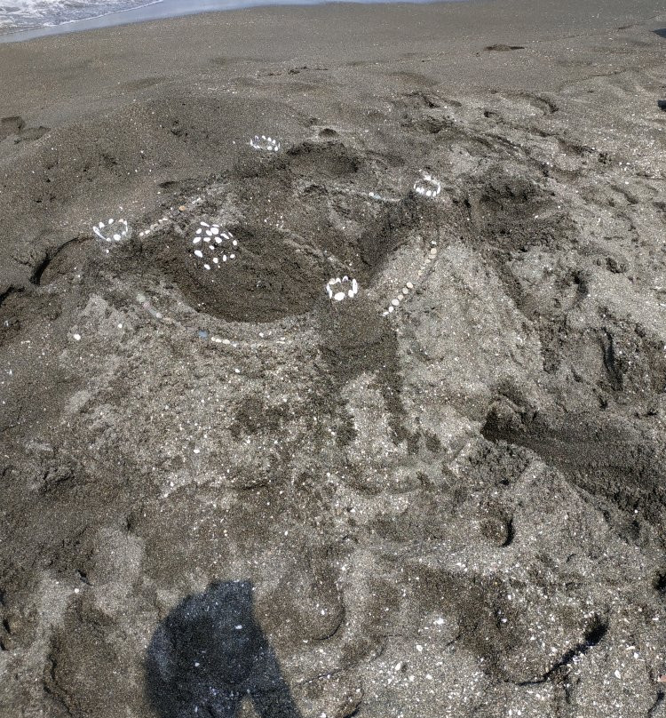 Shekveteli Beach-Shekvetili必去景点