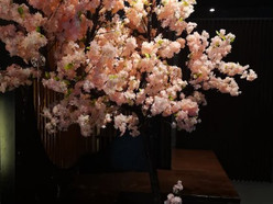 Gallery 3