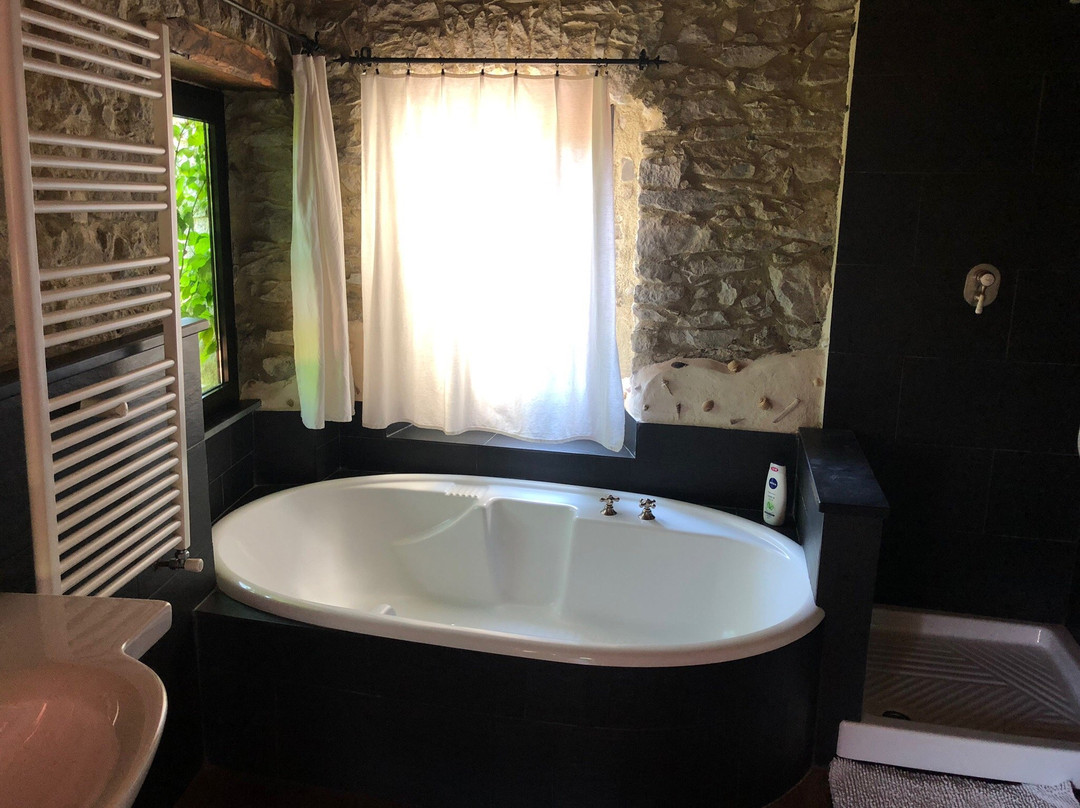 B&B Il Tulipano主图