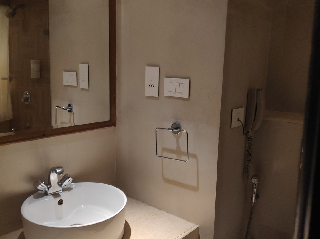 The Orbis Hotel主图