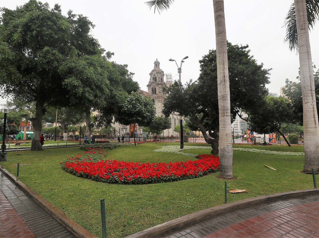 Parque Kennedy - Parque Central de Miraflores景点图片