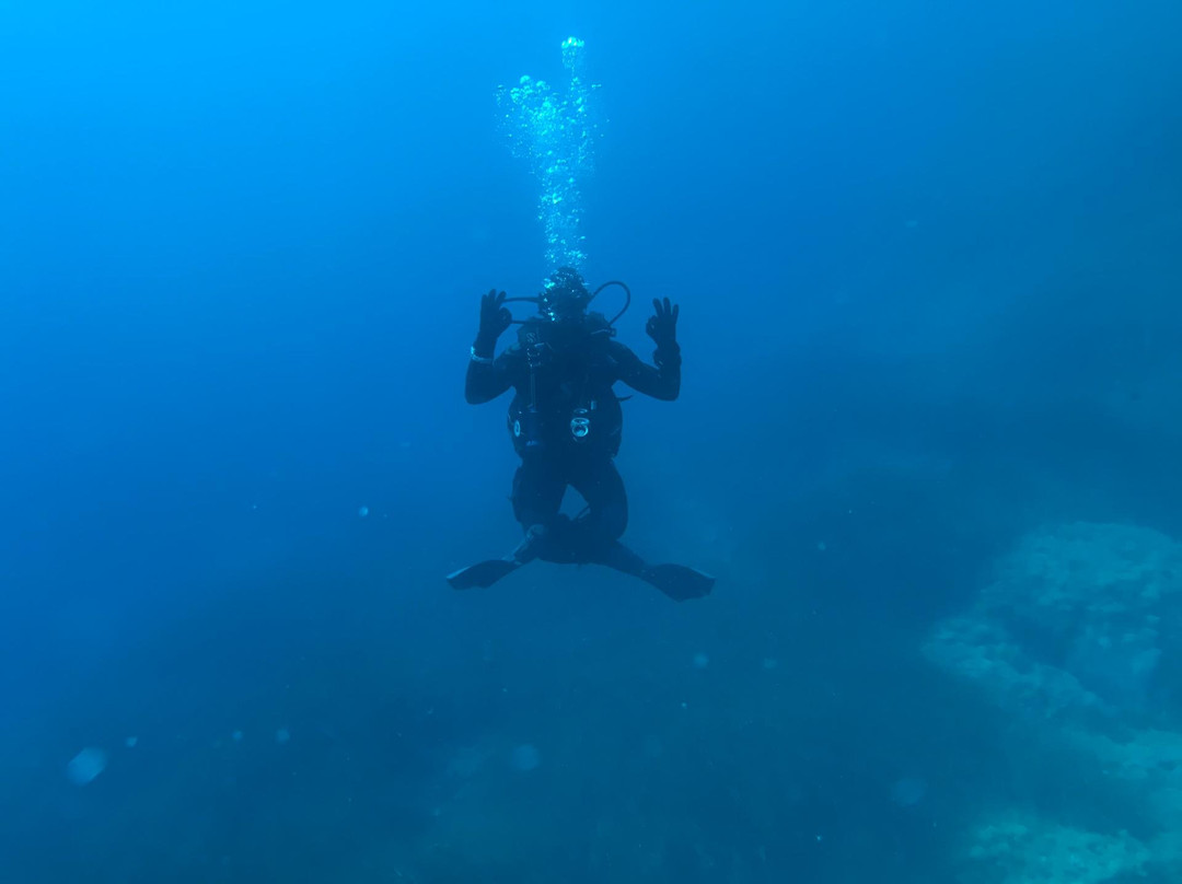 subsalerno diving景点图片