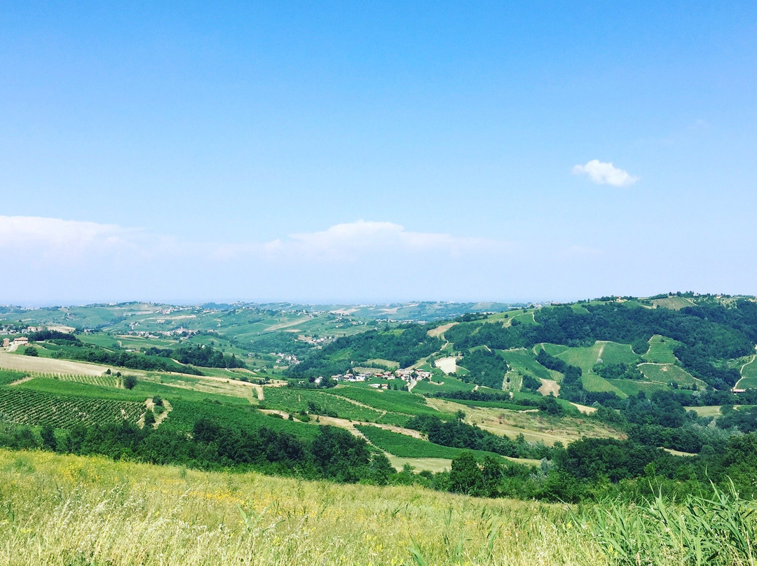 Casteggio酒店住宿-Le Vigne di Corvino