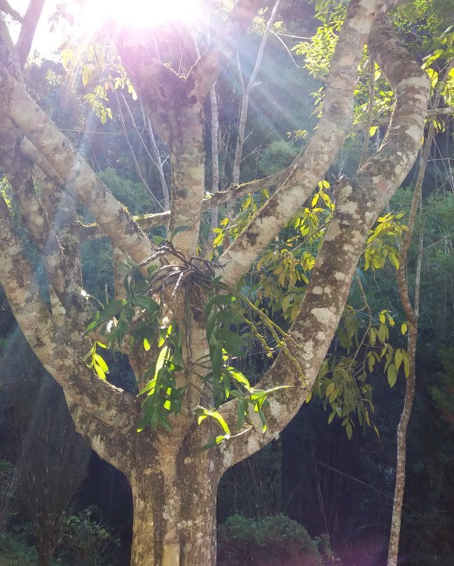 Shopping Vilarejo-圣安东尼奥杜皮尼亚尔必去景点