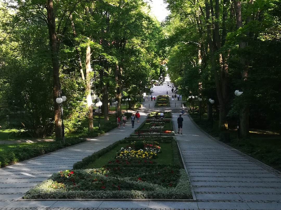 Park Zdrojowy景点图片