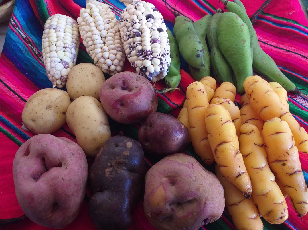 Corporacion Peruana de Alimentos y Servicios S.A.C.