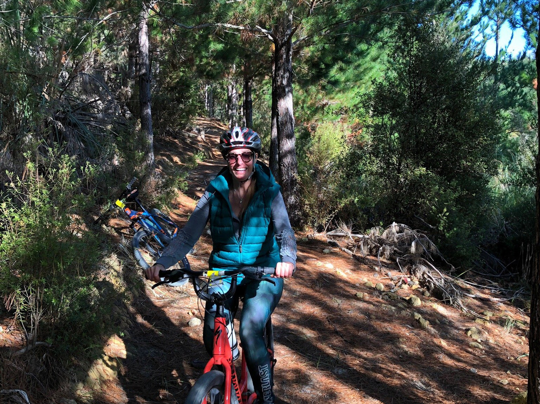 Paihia Mountain Bikes-Waitangi必去景点