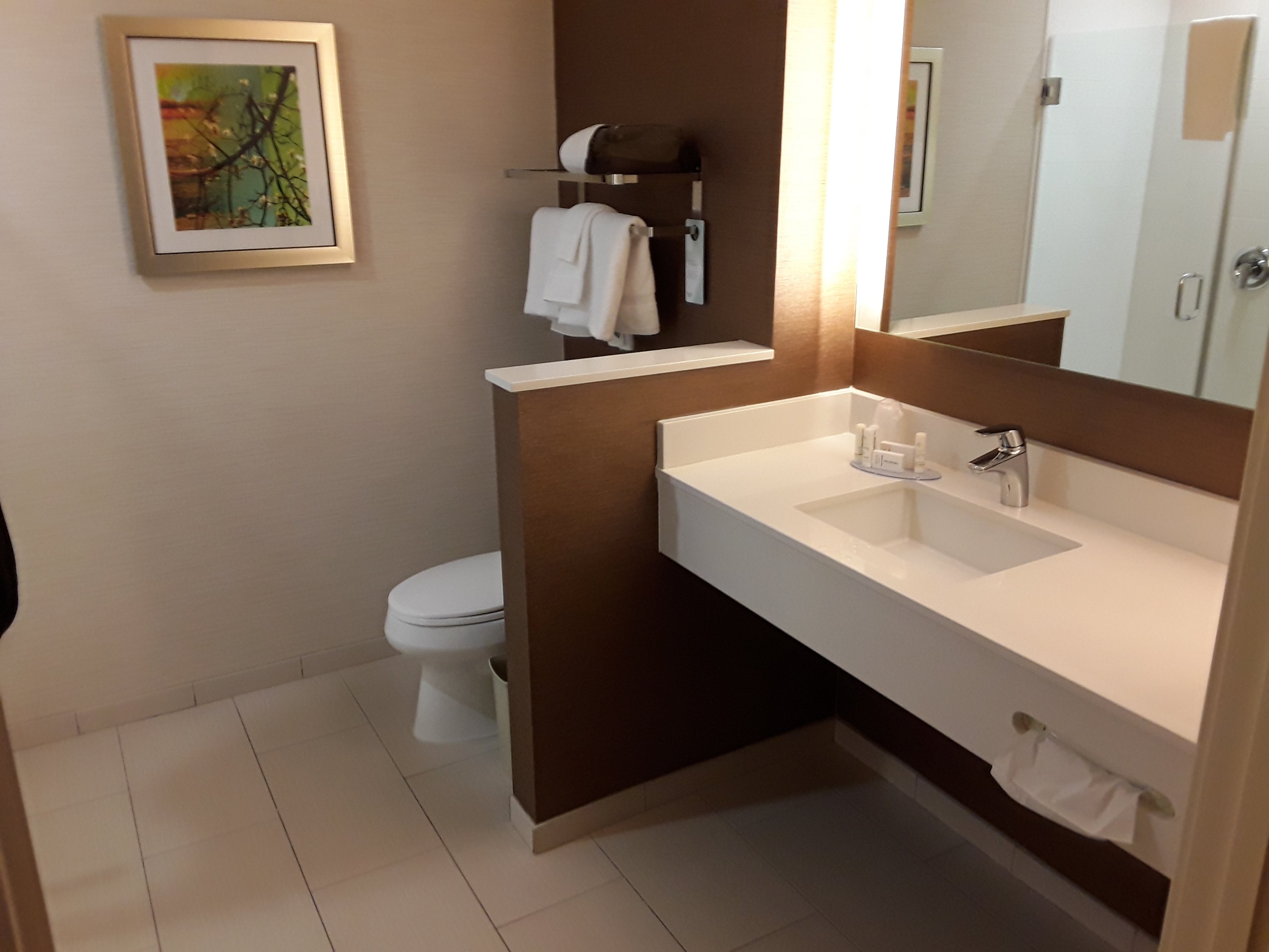 Fairfield Inn & Suites By Marriott Bakersfield North/Airport-浴室