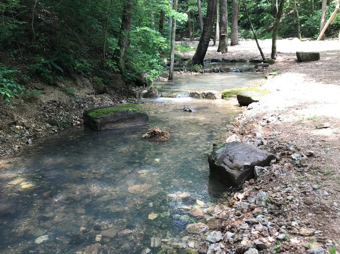 Tree House Cabins at River of Life Farm主图