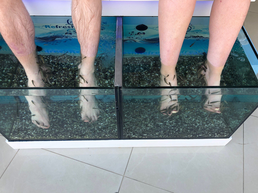 Fish World Spa-史塔利思必去景点
