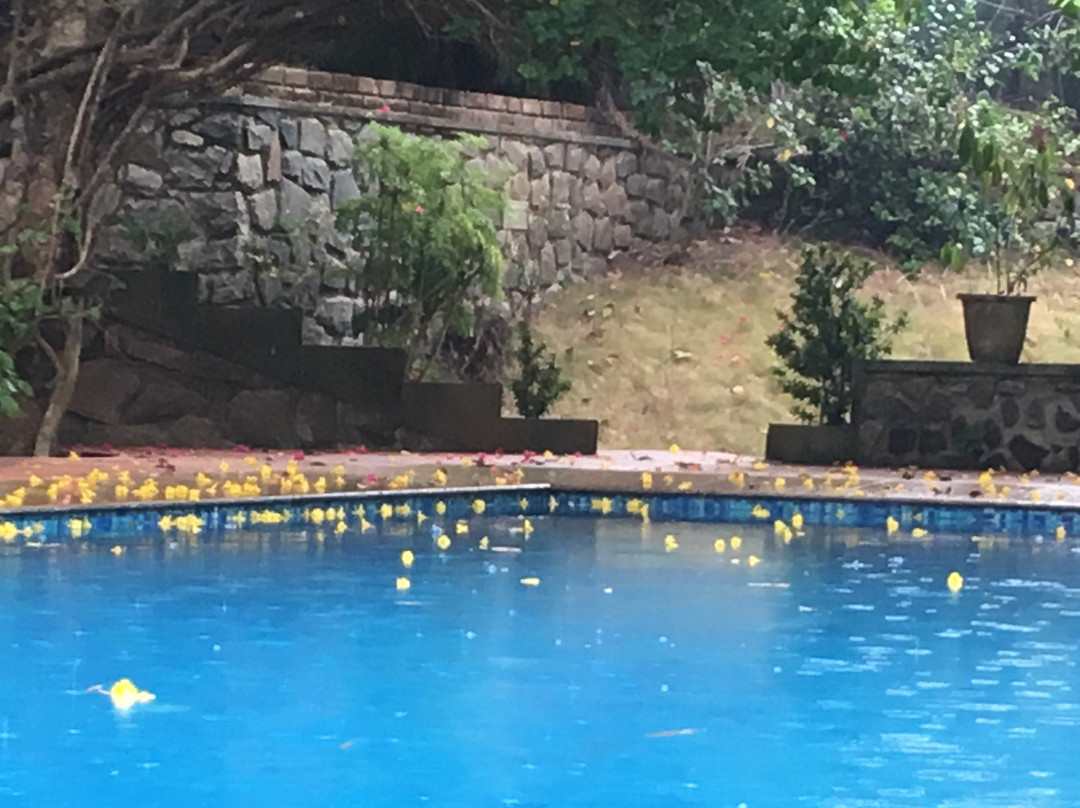 Amrutham-Gamaya主图