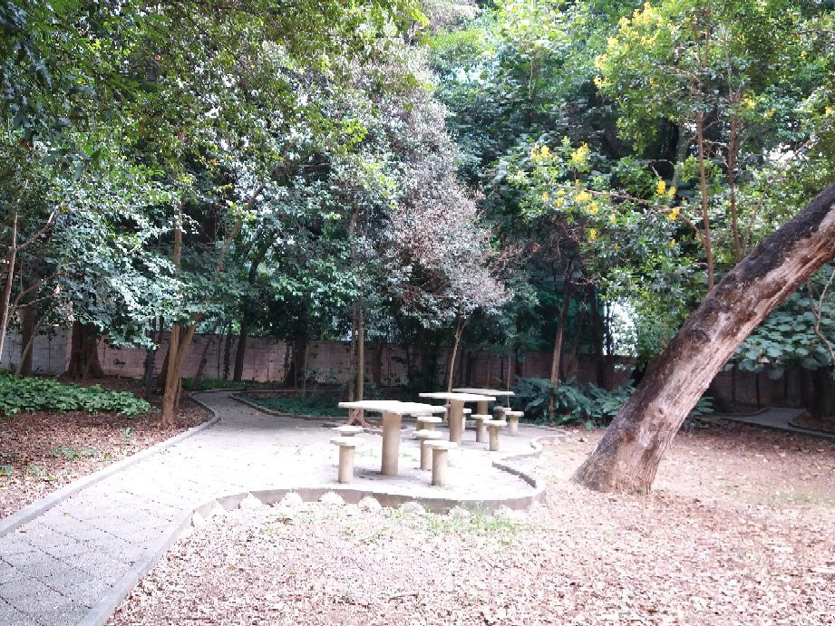 Parque Prefeito Mário Covas-圣保罗必去景点