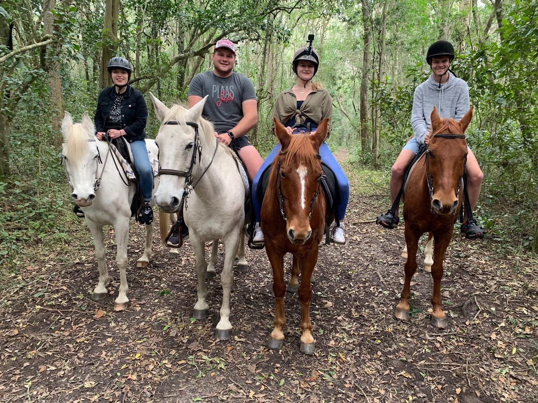 Perdepoort Horse Tails-荒野必去景点