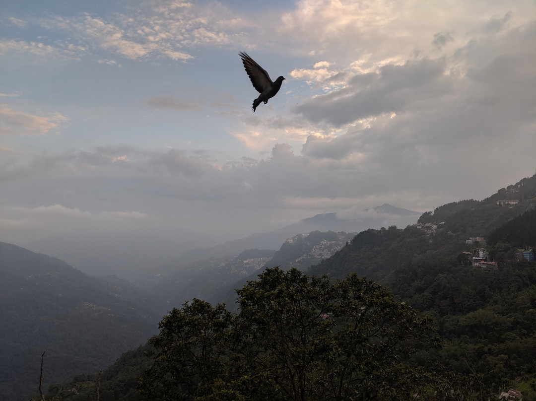 Tashiling Residency Hotel & Spa主图