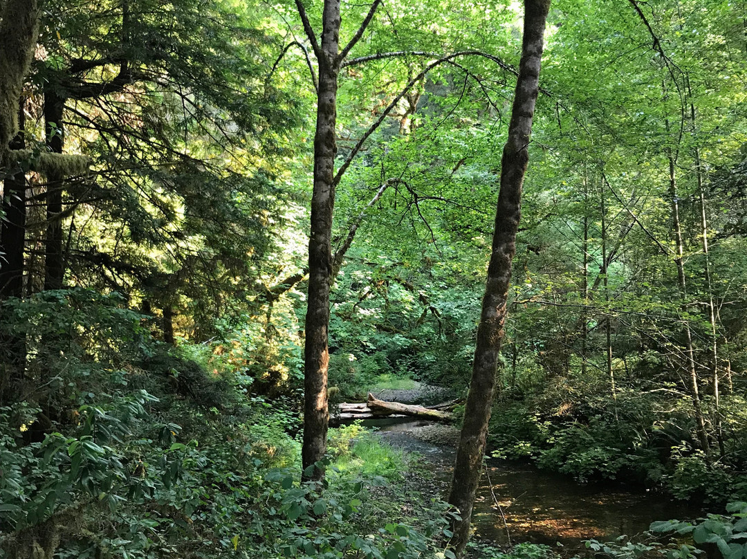 Prairie Creek - Foothill Trail Loop景点图片