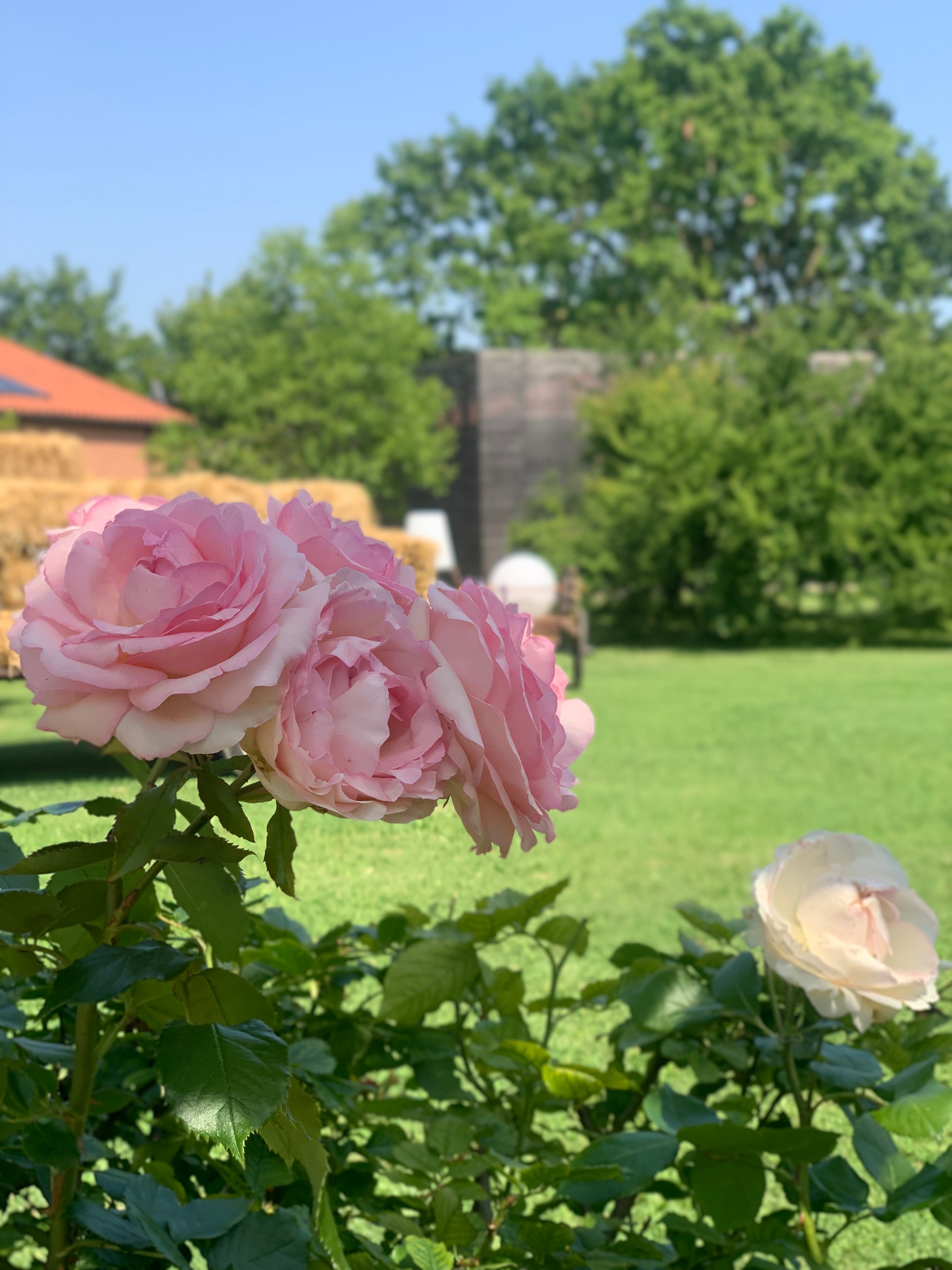 Relais Agriturismo Ormesani-浴室