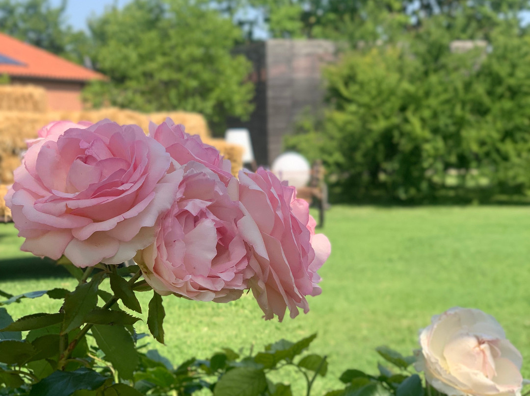 Relais Agriturismo Ormesani主图