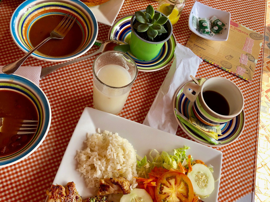 Hotel Zocalo Campestre主图