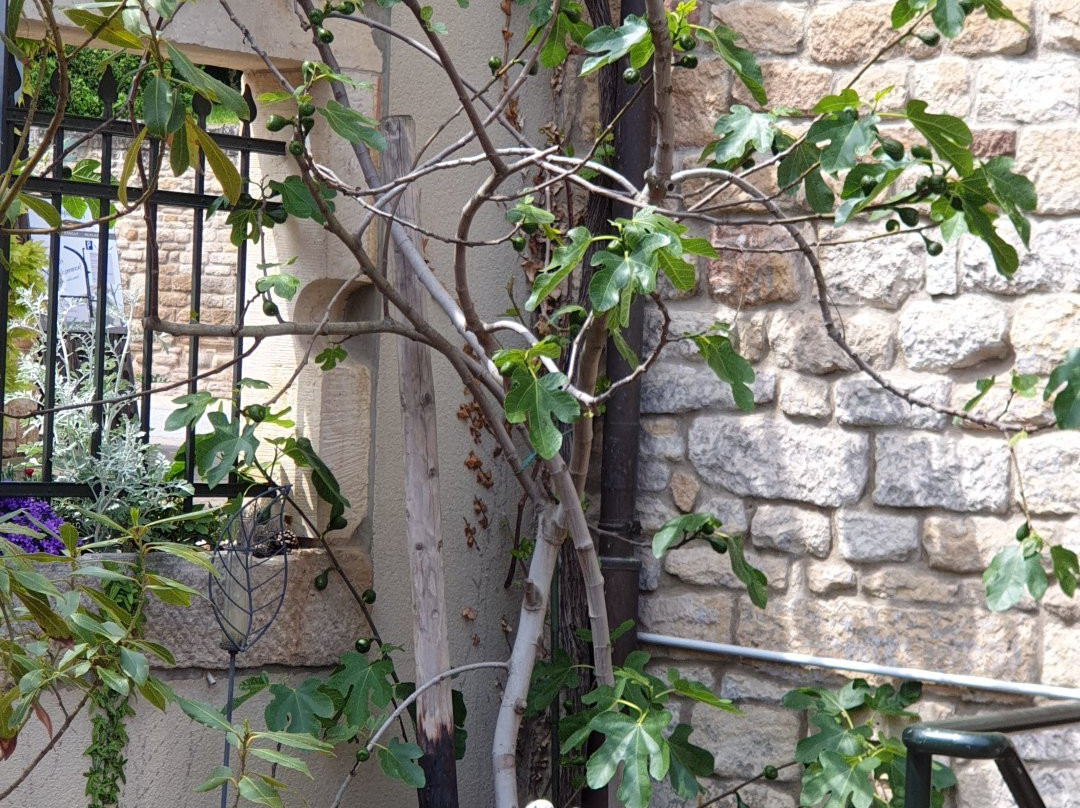 Weingut Espenhof主图