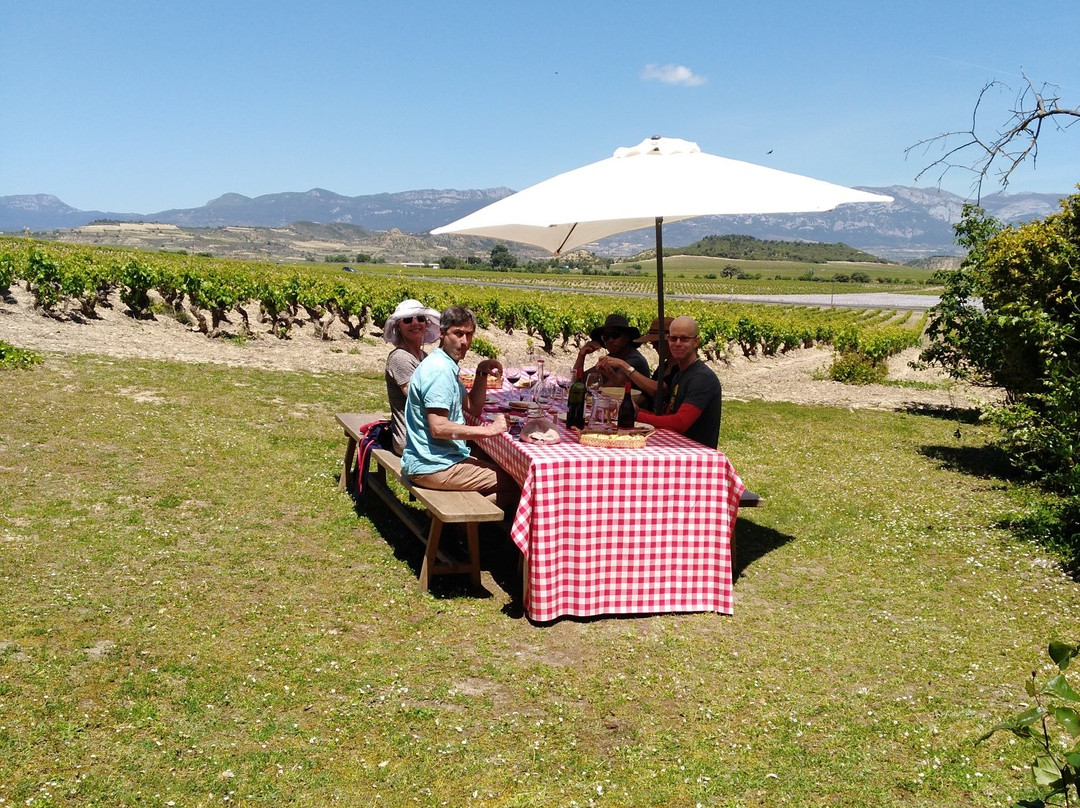 Bodegas Amézola de la Mora景点图片