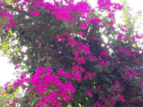 Hotel Prabhat Vihar主图