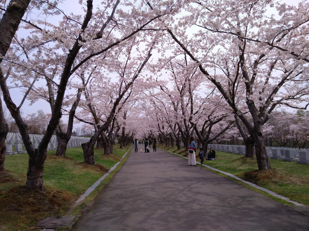 Toda Memorial Park Cemetery景点图片