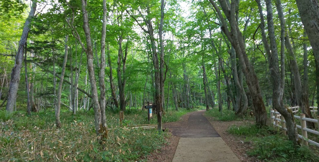 Lake Akan Nature Trail-钏路市必去景点