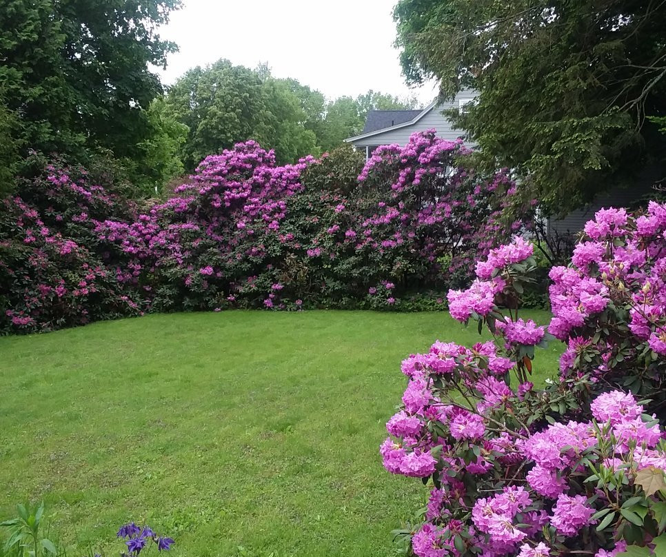 Carson's Bed & Breakfast and Salon主图