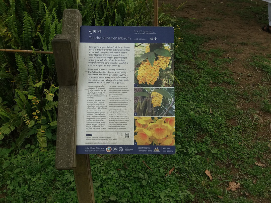 国家植物园-加德满都必去景点