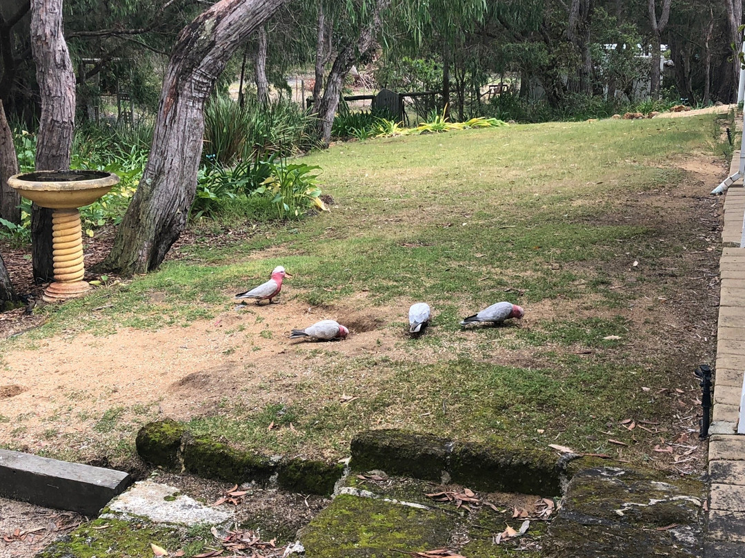 Llewellin's Guest House主图