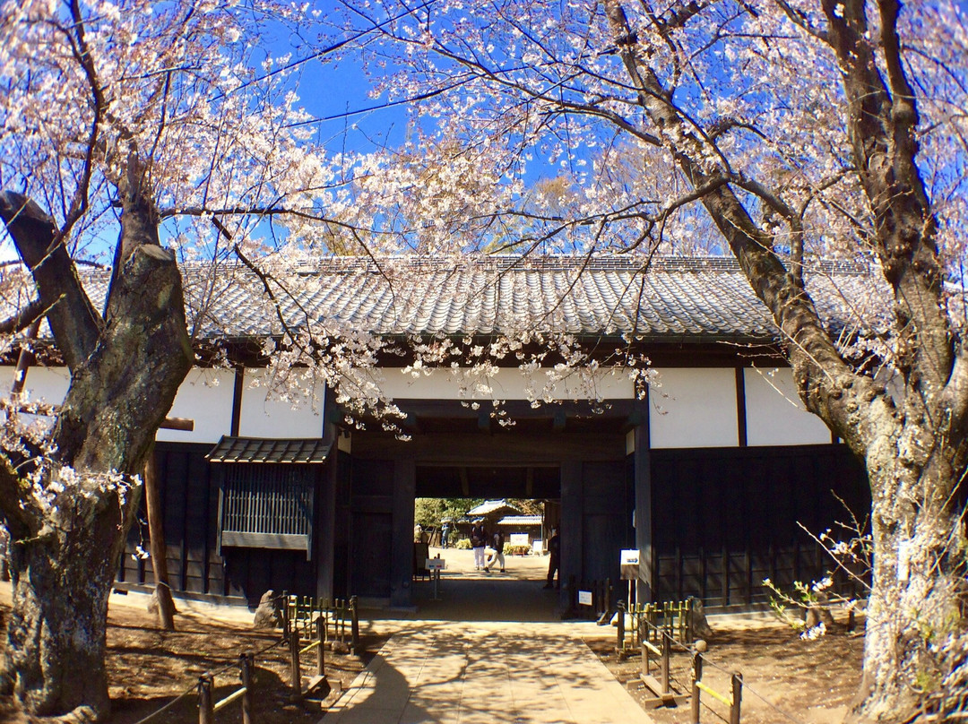 Old Yoshida Family's House History Park-柏市必去景点