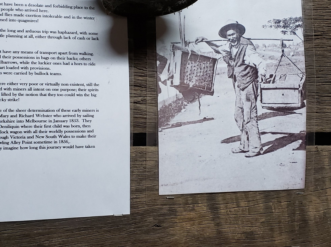 Gold Mine Guesthouse主图