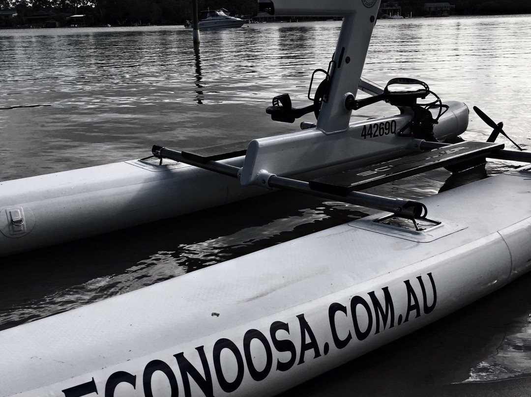 Eco Noosa River Adventures-努萨维尔必去景点