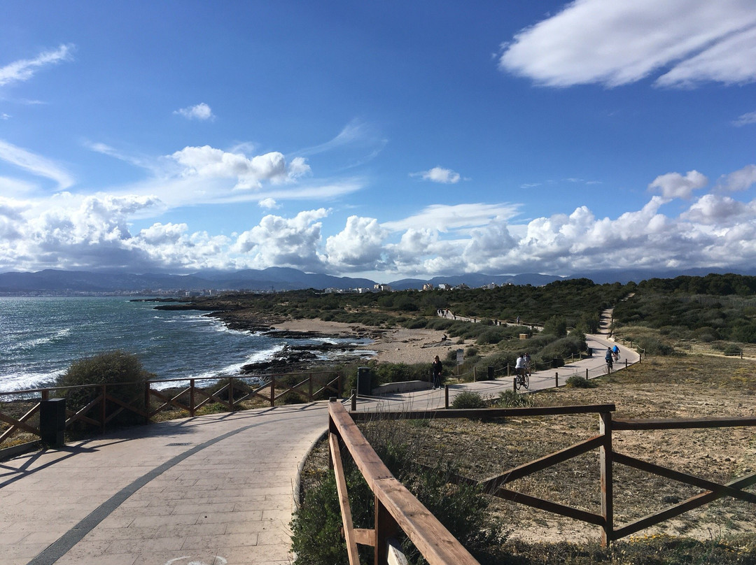 Port Bike Mallorca-马洛卡帕尔马必去景点