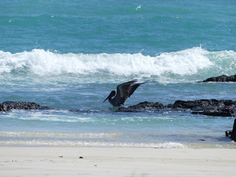 Hotel La Casa De Marita主图