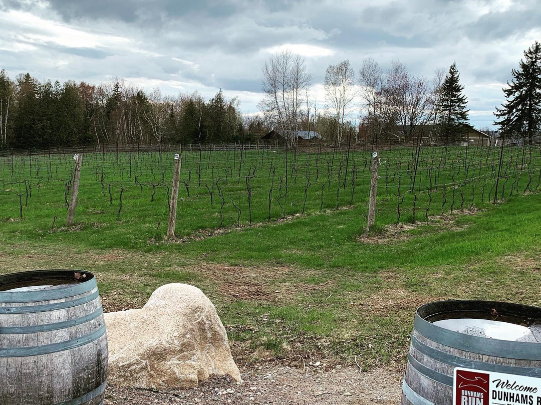 Dunhams Run Estate Winery景点图片