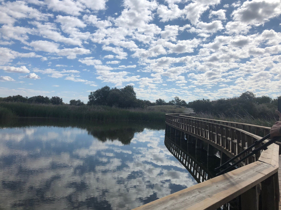 Caminos del Guadiana-Daimiel必去景点