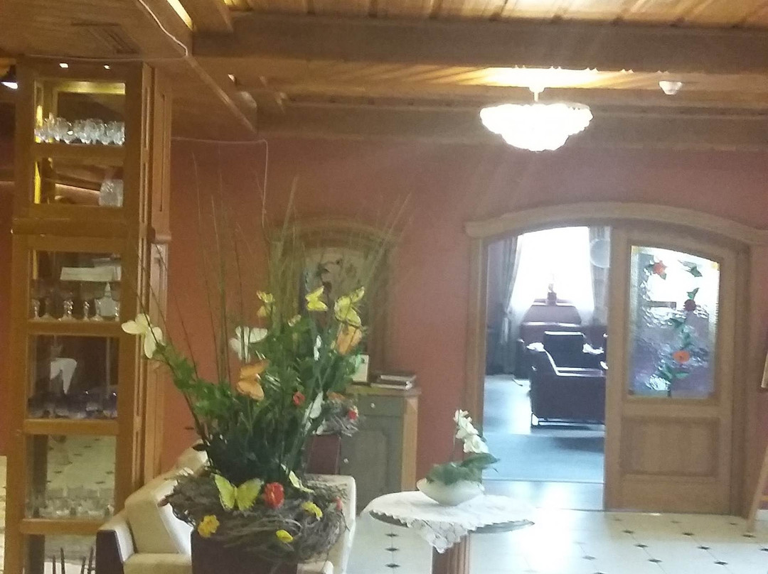 Alpejski Hotel主图