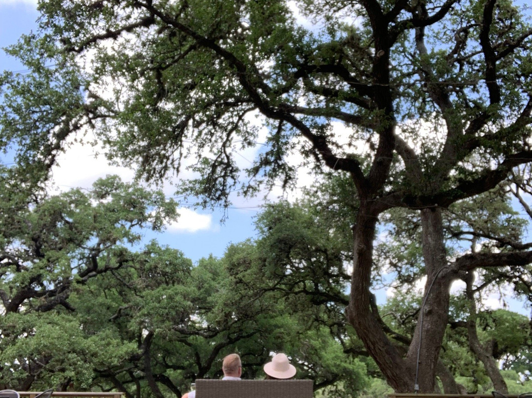 Wimberley Valley Winery景点图片