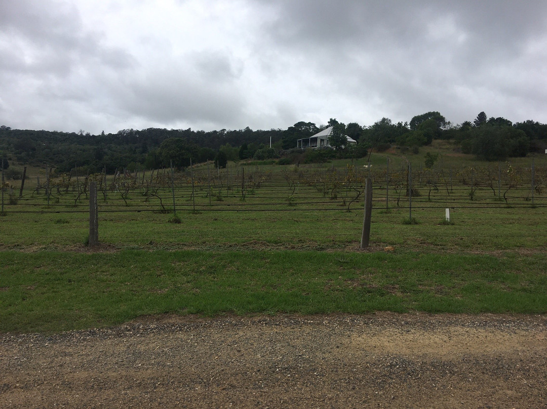 Crane Wines-Kingaroy必去景点